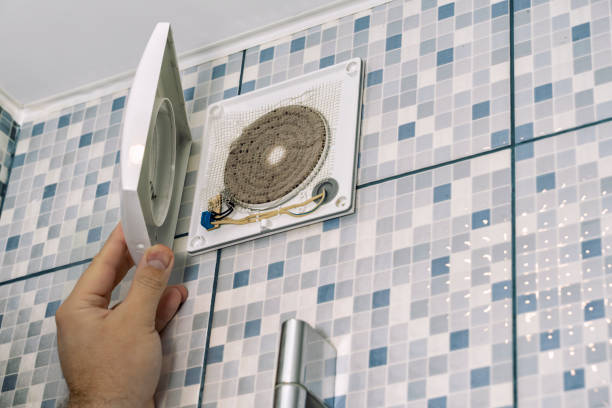 Best Emergency Air Duct Cleaning  in Pine, AZ