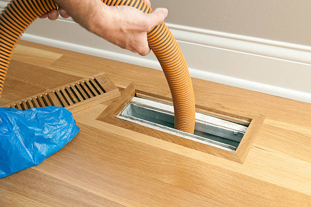 Best Affordable Air Duct Cleaning  in Pine, AZ
