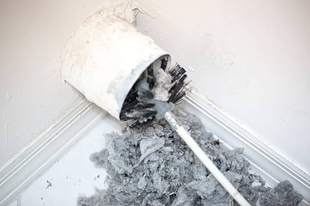 Best Local Air Duct Cleaning Services  in Pine, AZ